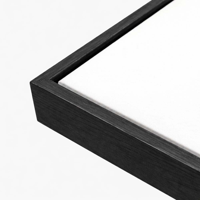 Umbra Study, Artwork, Black Frame
